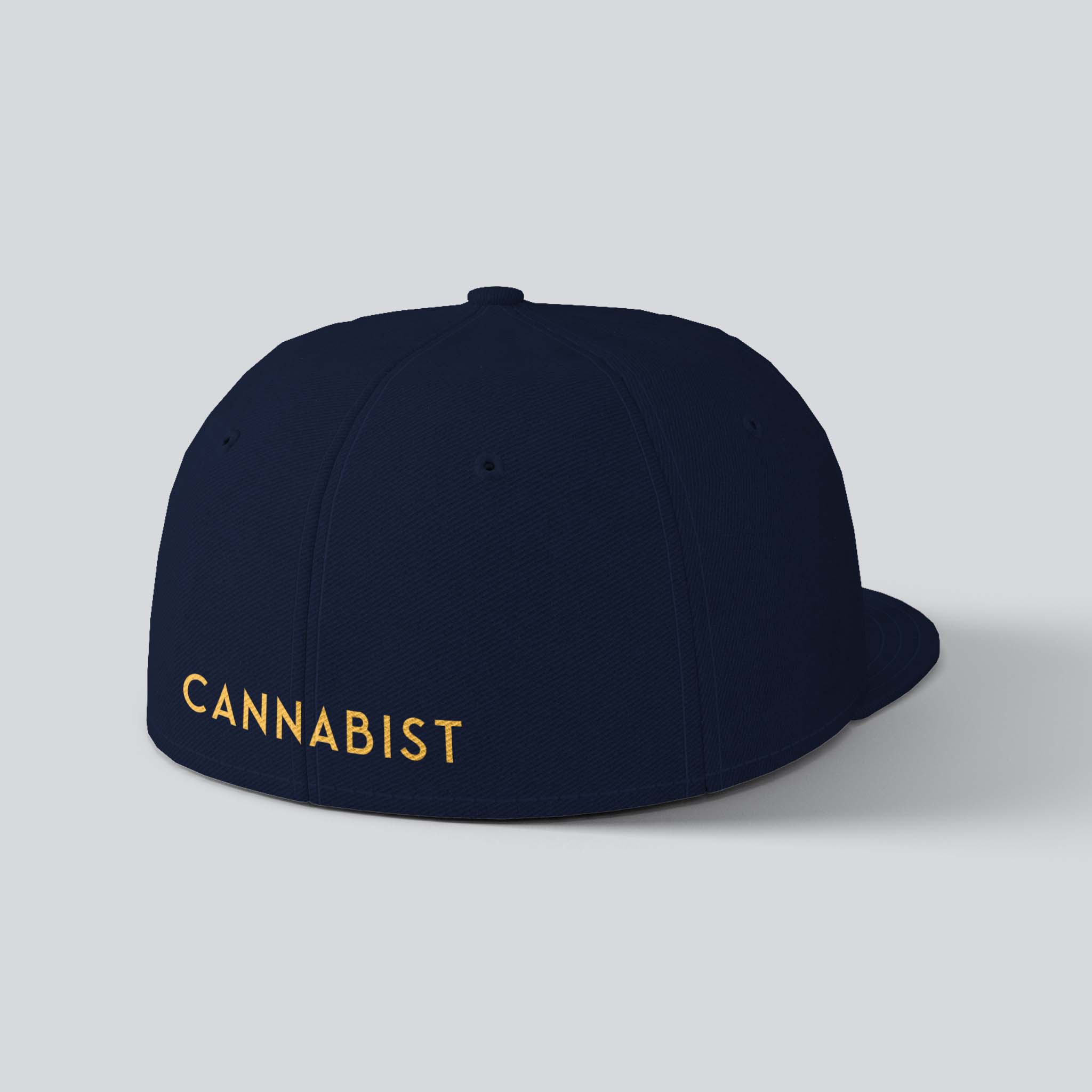 Cannabist Flat Brim Hat